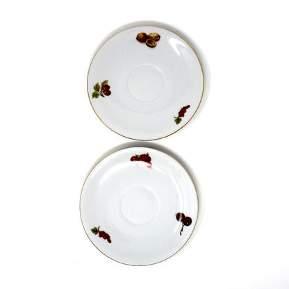 Coffee Service: Seltmann Weiden, Fruit and Nut Pattern (SLT83), Porcelain, Bavaria W. Germany, Vintage