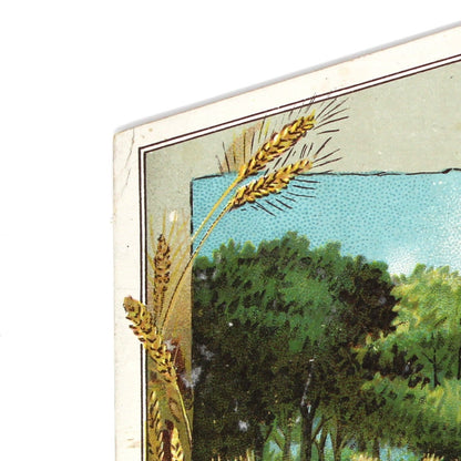 Trade Card: Lion Coffee, Wheat Harvest Scene, Woolson Spice Co., Antique 1880s Advertising Ephemera