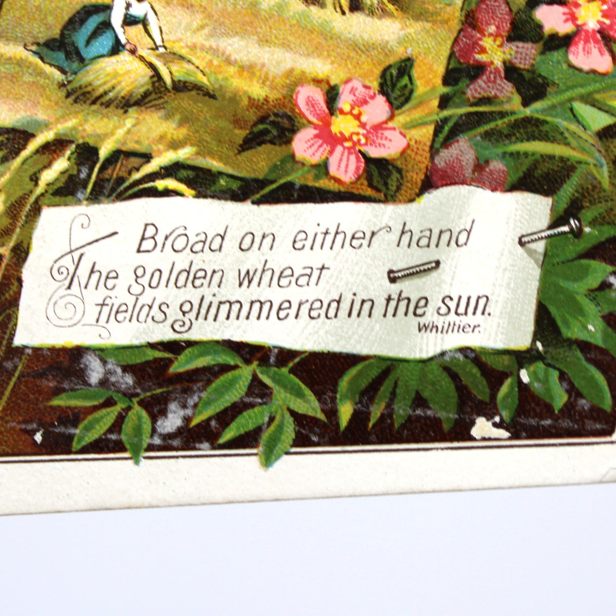 Close up of Whittier Poem on Antique Trade Card: Lion Coffee, Wheat Harvest Scene, Woolson Spice Co.