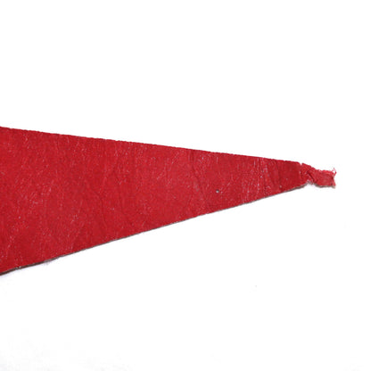 Pennant: Stanford University School, College Football Hall of Fame Souvenir, 29", USA, Vintage 1978