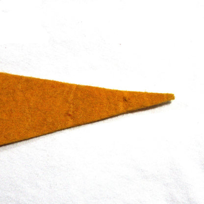 Pennant: Purdue University School, College Football Hall of Fame Souvenir, 29", USA, Vintage 1978