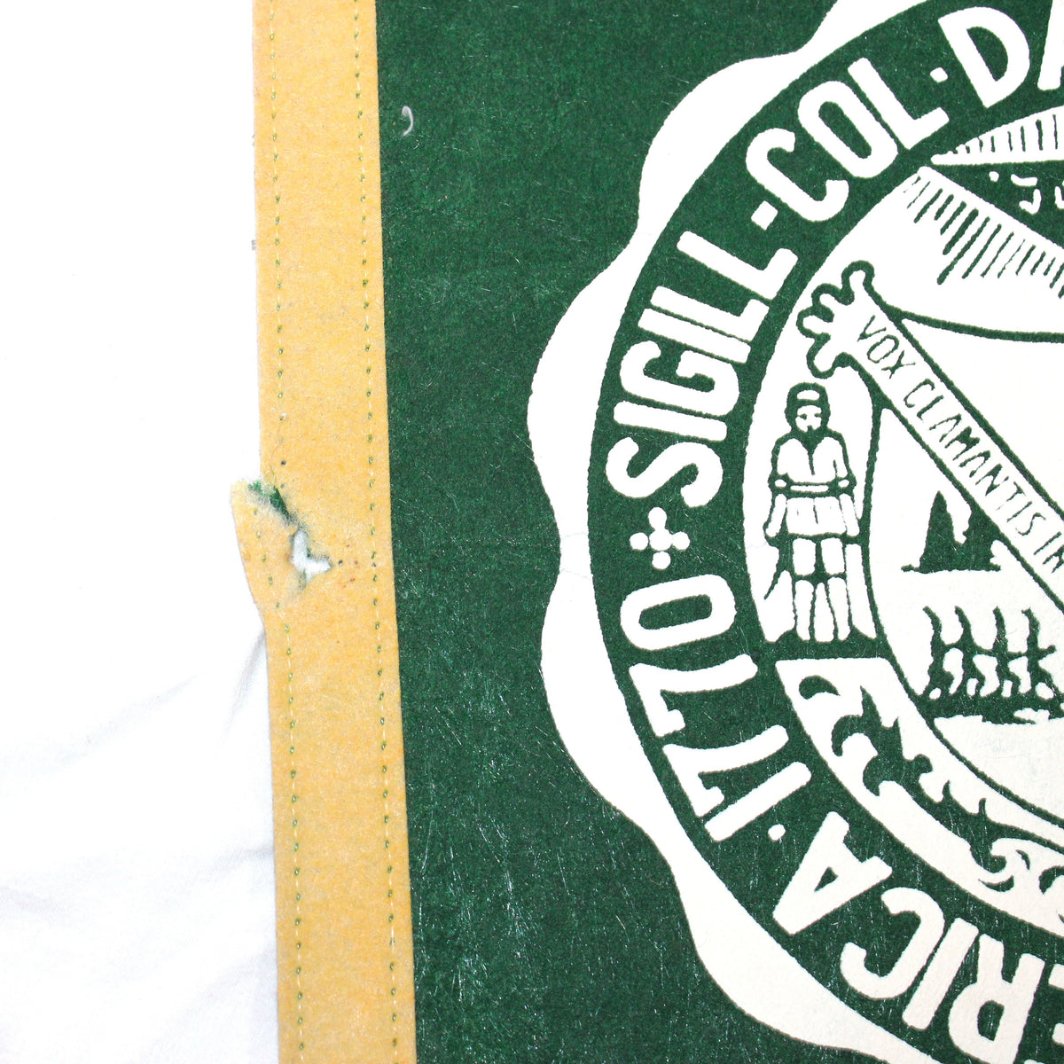 Pennant: Dartmouth College School Pennant, College Football Hall of Fame Souvenir, 29", USA, Vintage 1978