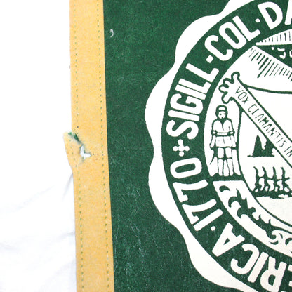 Pennant: Dartmouth College School Pennant, College Football Hall of Fame Souvenir, 29", USA, Vintage 1978
