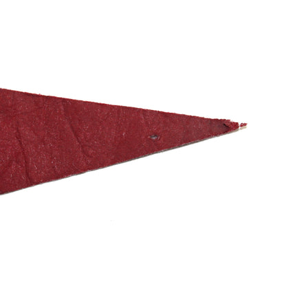 Pennant: Boston College School, Football Hall of Fame Souvenir, 29", USA, Vintage 1978