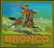 Crate Label, Bronco Navel Oranges Redlands, Original Western, Vintage, 1949