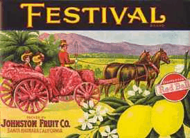 Crate Label, Festival Lemons Johnston Fruit Co, Original Lithograph, NOS, Vintage