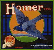 Crate Label, Homer Sunkist Brand Oranges, Original Lithograph, 1940's NOS, Vintage