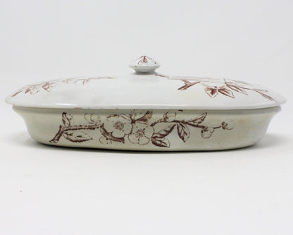 Razor / Toothbrush Dish, Transferware, Ironstone Victorian Aesthetic Movement, Antique