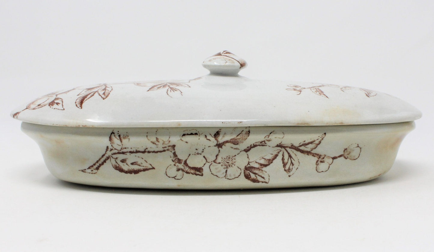 Razor / Toothbrush Dish, Transferware, Ironstone Victorian Aesthetic Movement, Antique