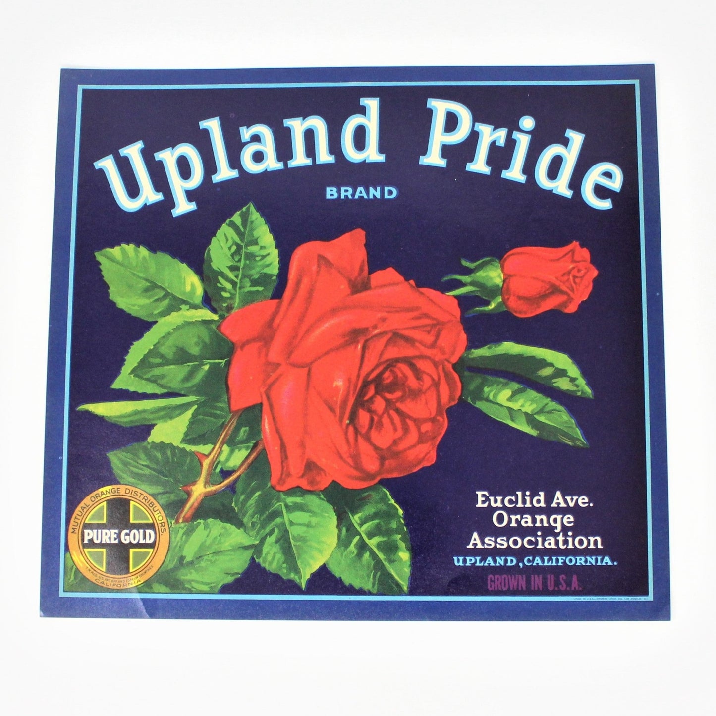 Crate Label, Upland Pride, Red Rose, Orange Assoc., CA, NOS, Vintage, 1940