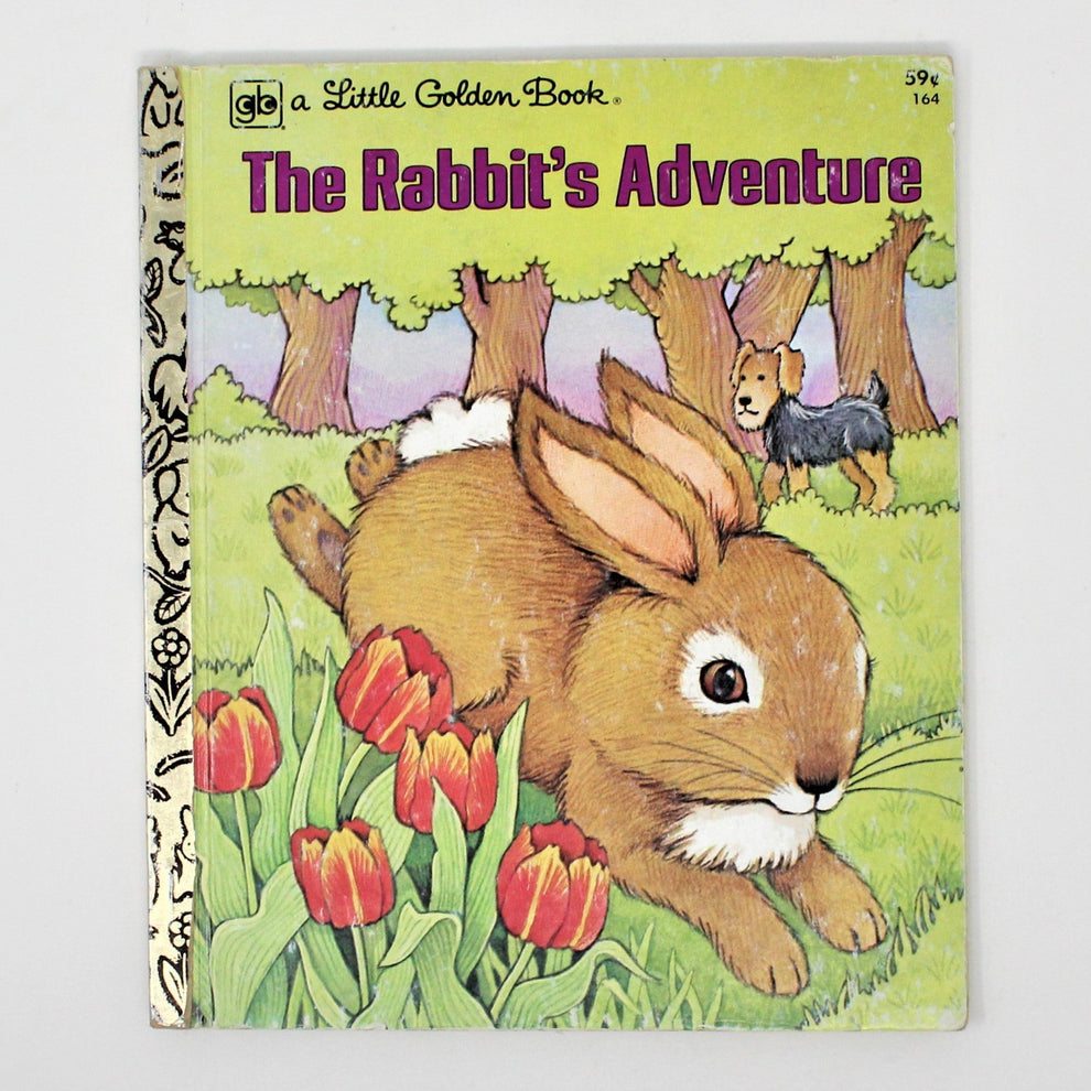 Children's Book, The Rabbit's Adventure, Betty Ren Wright, Little Gold ...