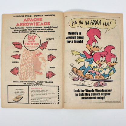 Comic Book, Gold Key, Walt Disney, Donald Duck #207, Vintage 1979