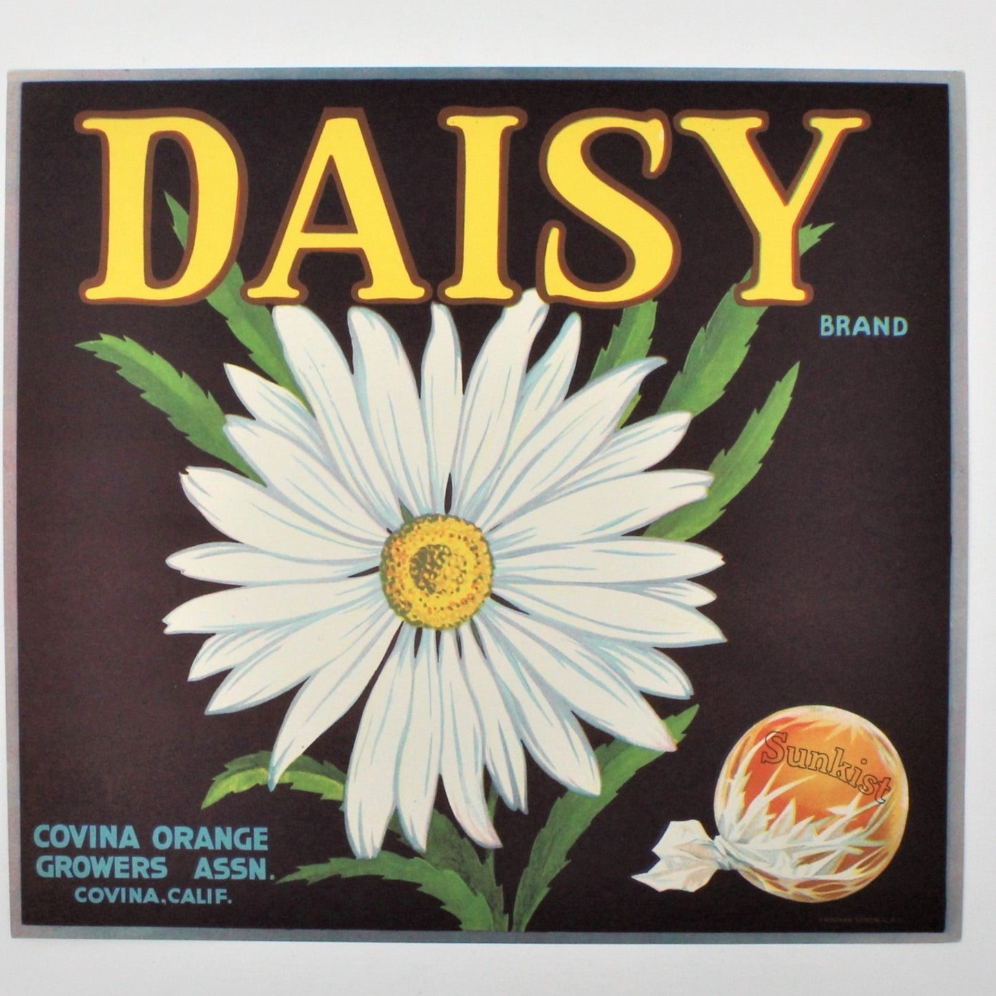Crate Label, Daisy Brand, Sunkist Oranges, California, Vintage 1930's