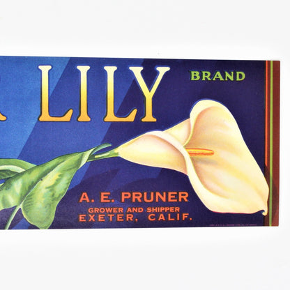 Crate Label, Exeter Lily, A.E. Pruner, California, Original Lithograph 1950's, NOS, Vintage