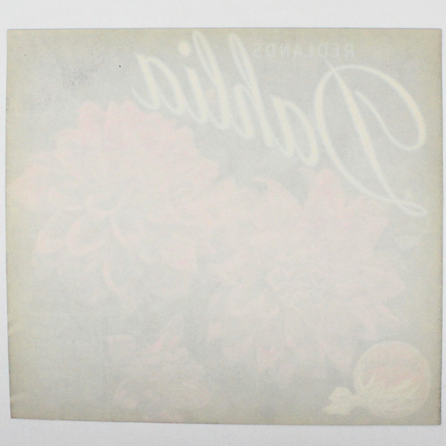 Crate Label, Redlands Dahlia, Sunkist Oranges, California, Vintage 1950's