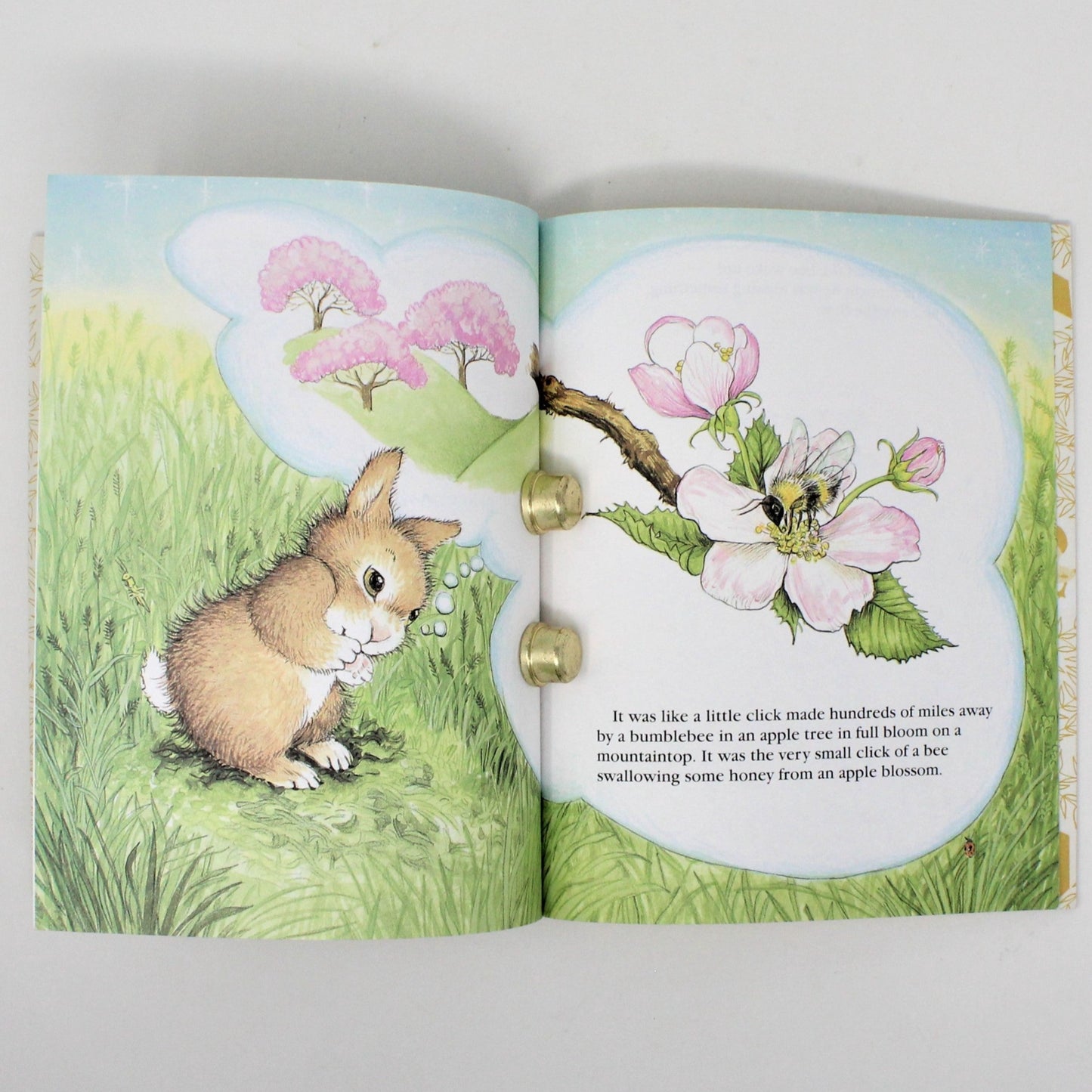 Children's Book, Little Golden Book, The Whispering Rabbit, Hardcover, Vintage 1997