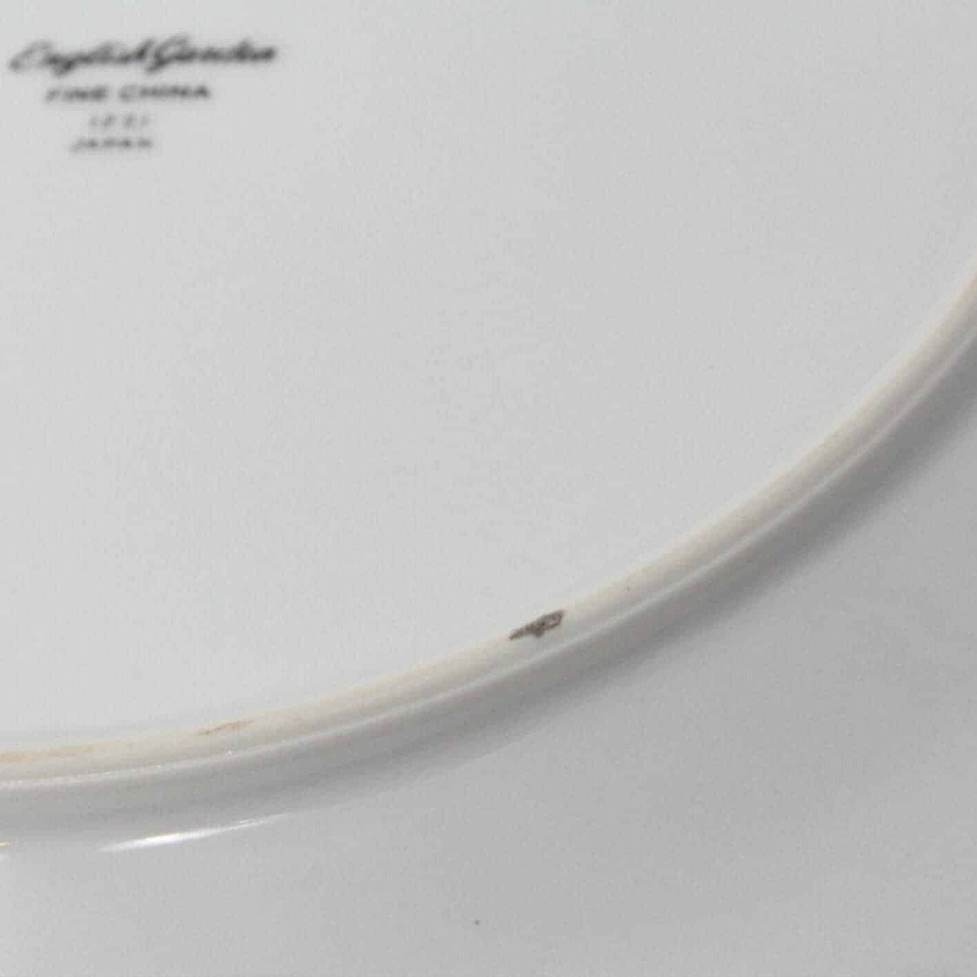 Dinner Plate, Fine China of Japan, English Garden, Set of 5, Vintage