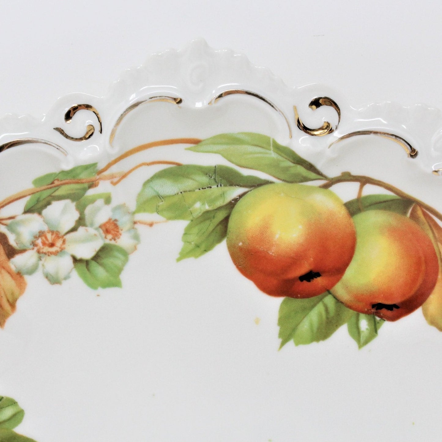 Decorative Bowl, M & Z Austria, Winter Fruits, Oranges, & Apples, Antique