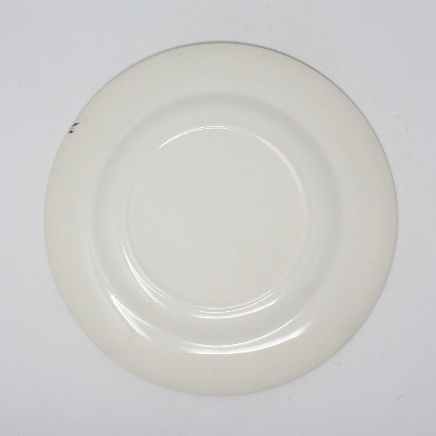 Decorative Plate, Souvenir State Collectors Plate, New Mexico, Vintage 1950's