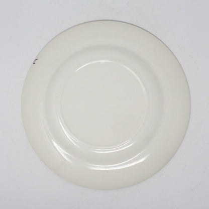 Decorative Plate, Souvenir State Collectors Plate, New Mexico, Vintage 1950's