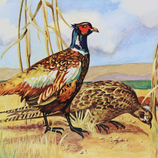Tray, Pheasants, Mid Century TV Tray, Metal 18", Vintage, SOLD