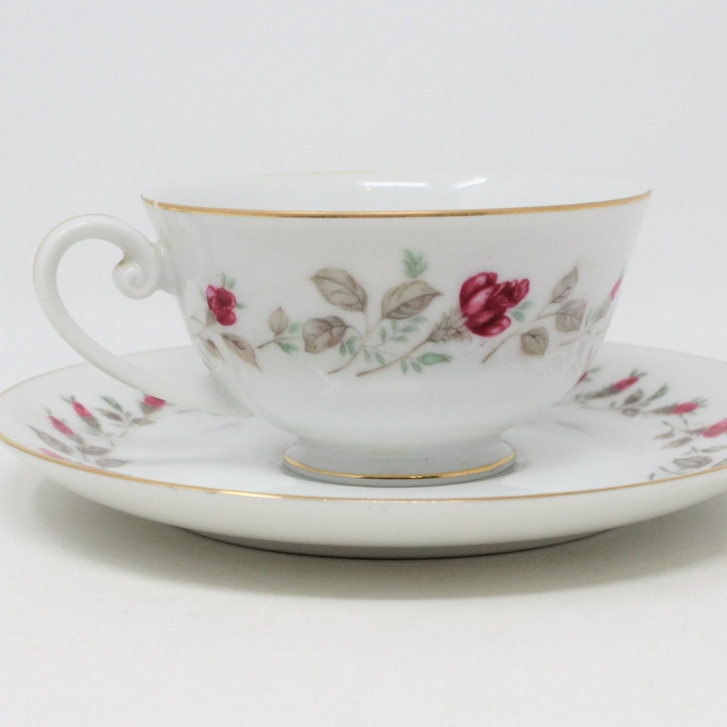 Teacup and Saucer, Diamond China, Moss Rose, Vintage Japan