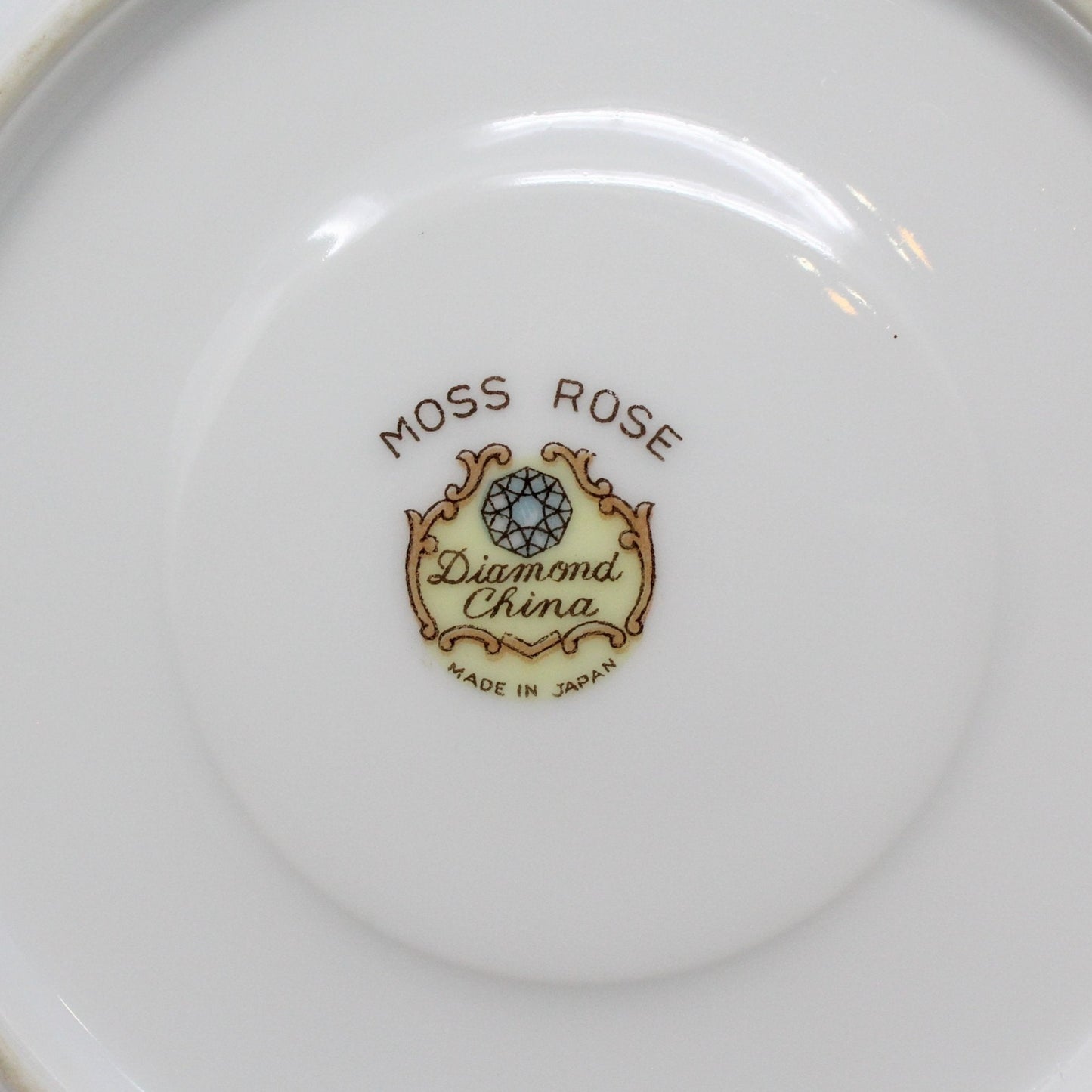 Teacup and Saucer, Diamond China, Moss Rose, Vintage Japan