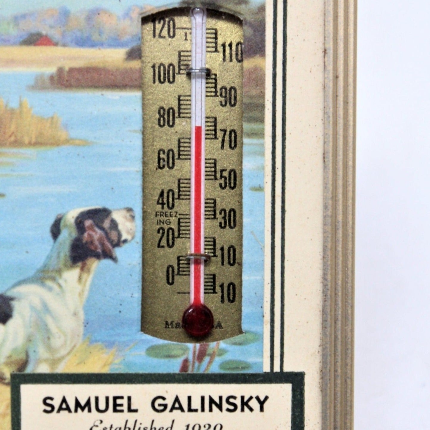 Advertising Thermometer / Calendar, Hunting Dogs Print by Hintermeister, Vintage, SOLD