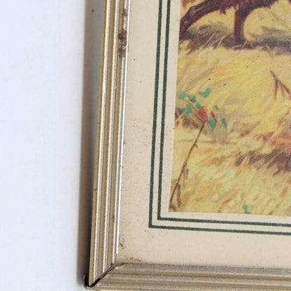 Advertising Thermometer / Calendar, Hunting Dogs Print by Hintermeister, Vintage, SOLD