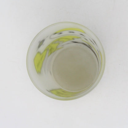 Glasses, Tumbler, Hazel Atlas State Souvenir, Delaware, Frosted, Vintage