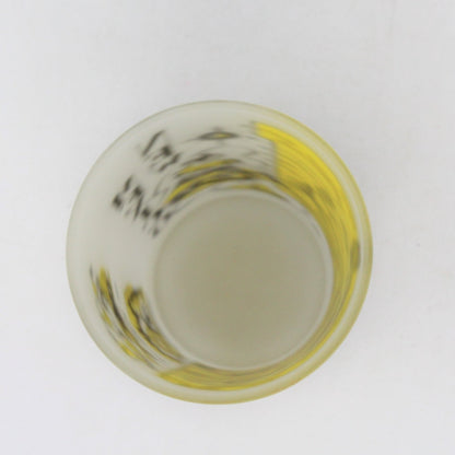 Glass Tumbler, Hazel Atlas State Souvenir, New Mexico, Frosted, Vintage, SOLD
