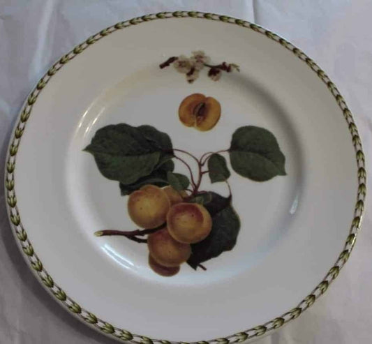 Dinner Plate, Rosina-Queen, Hooker's Fruit Apricot, England, Vintage