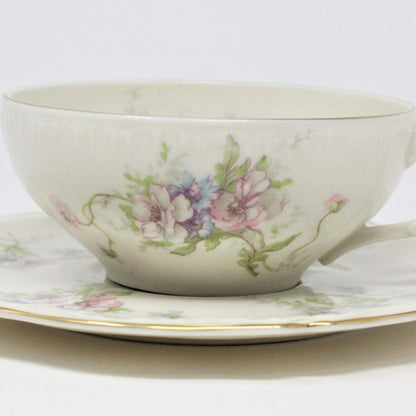 Teacup and Saucer, Theodore Haviland, Annette, Vintage