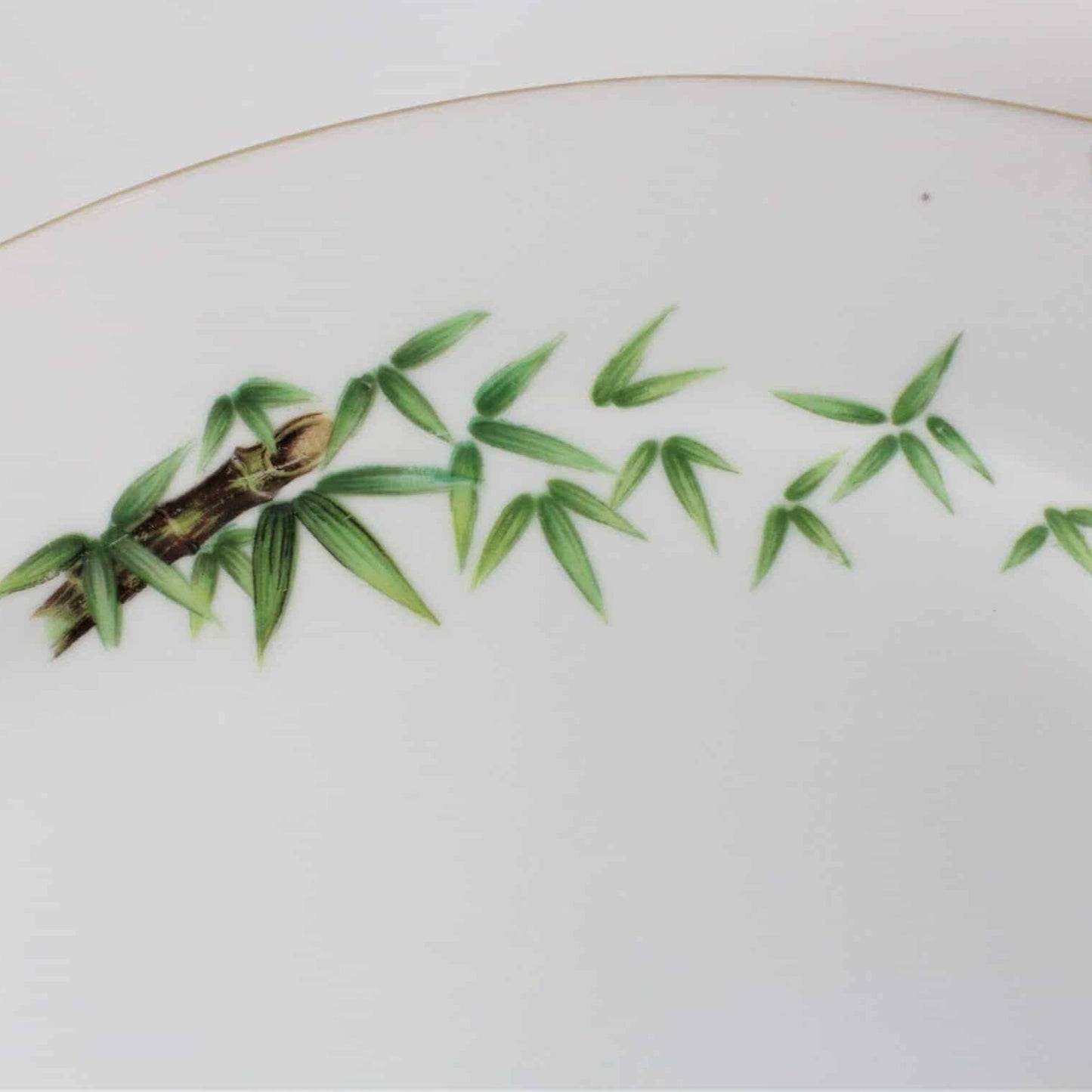 Serving Platter, Hira Fine China, Bamboo Tah-Kay, Vintage Japan 16"