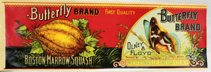 Can Label, Olney & Floyd Butterfly, Boston Marrow Squash, Lithograph, Antique
