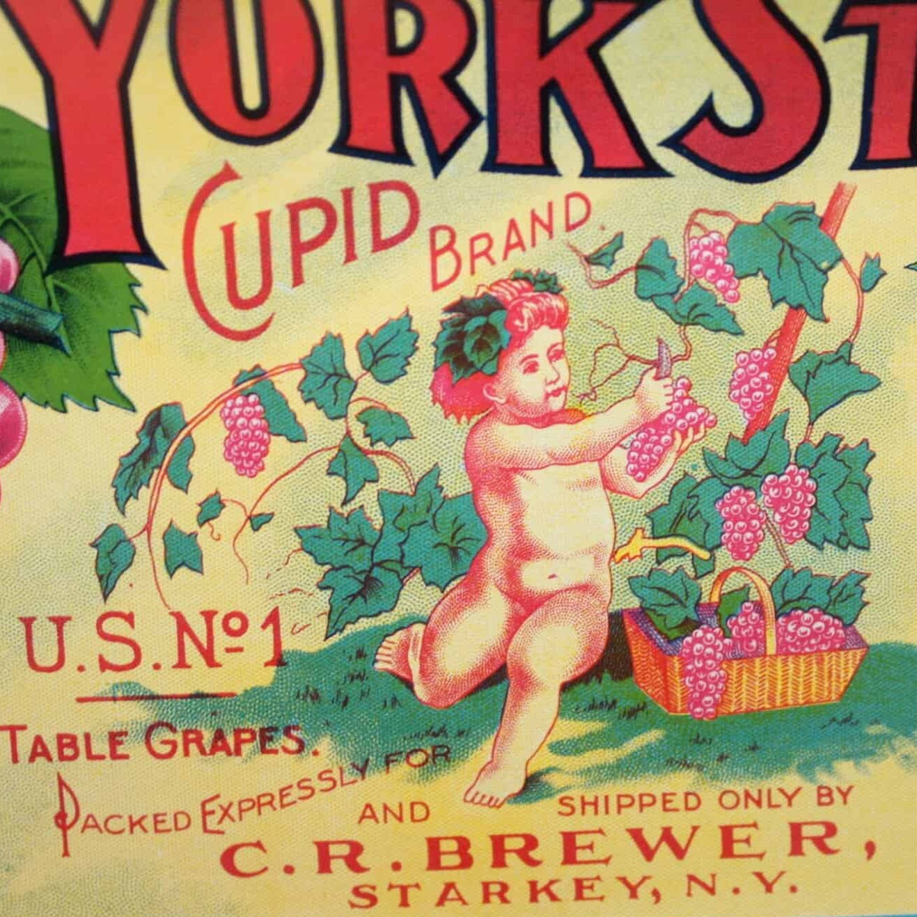 Crate Label, Cupid Brand Grapes, Original Lithograph, 1890's NOS, Antique