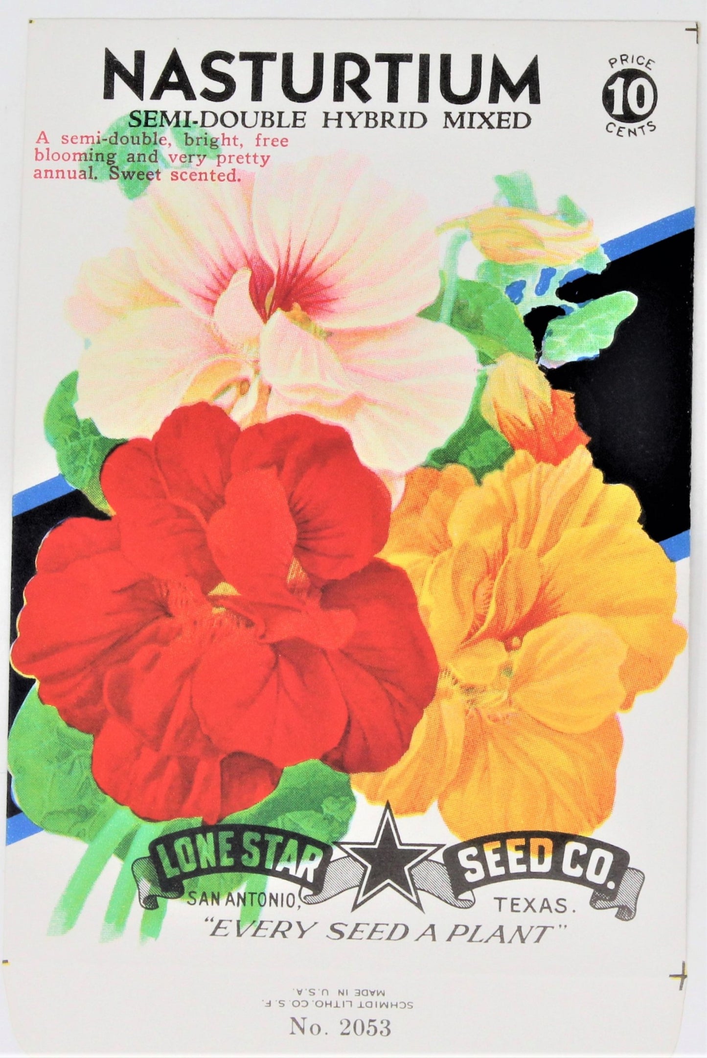 Seed Packets, Rustic Display Wood Frame, 4 Packets incl., Vintage