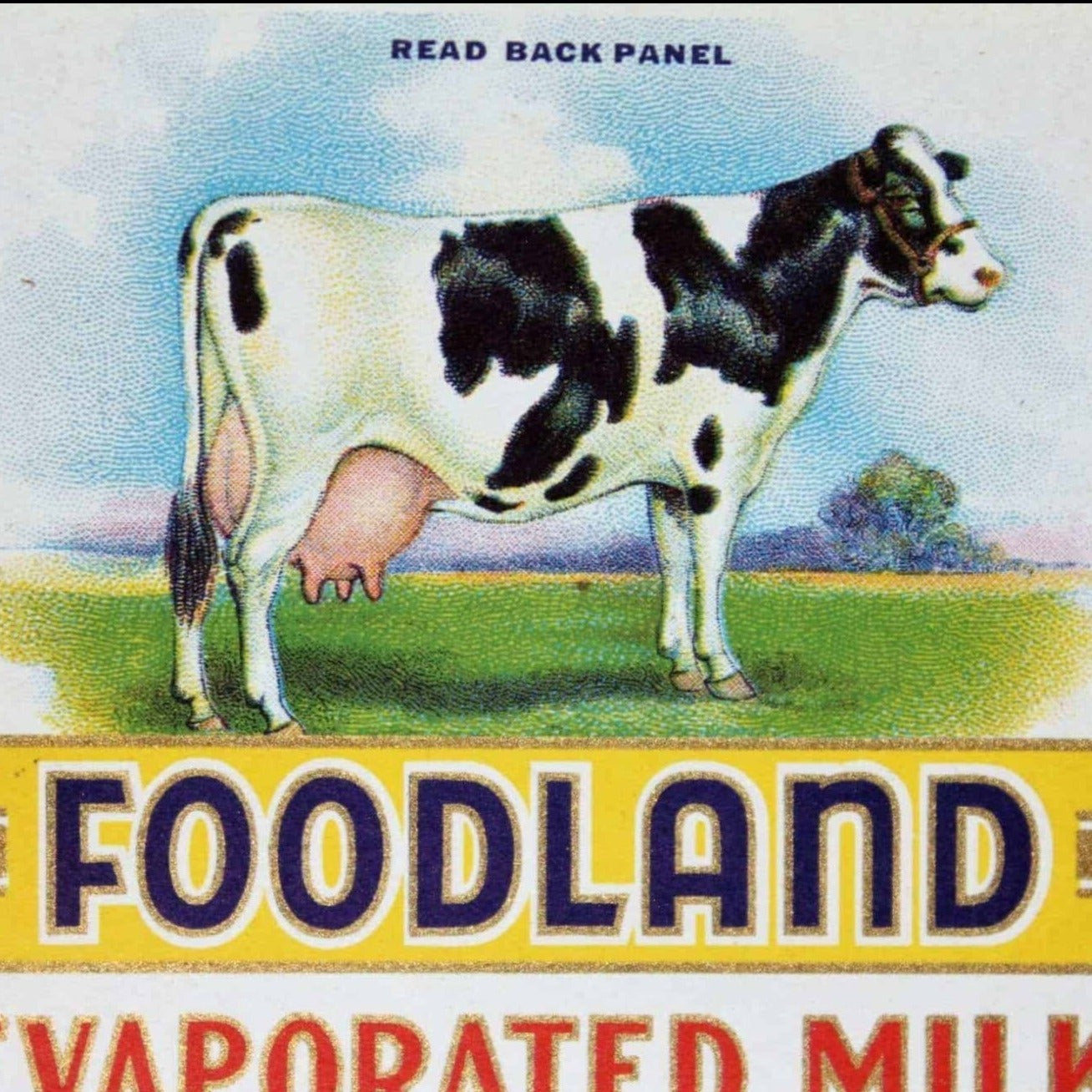 Can Label, Foodland Evaporated Milk, Original NOS Lithograph, Antique