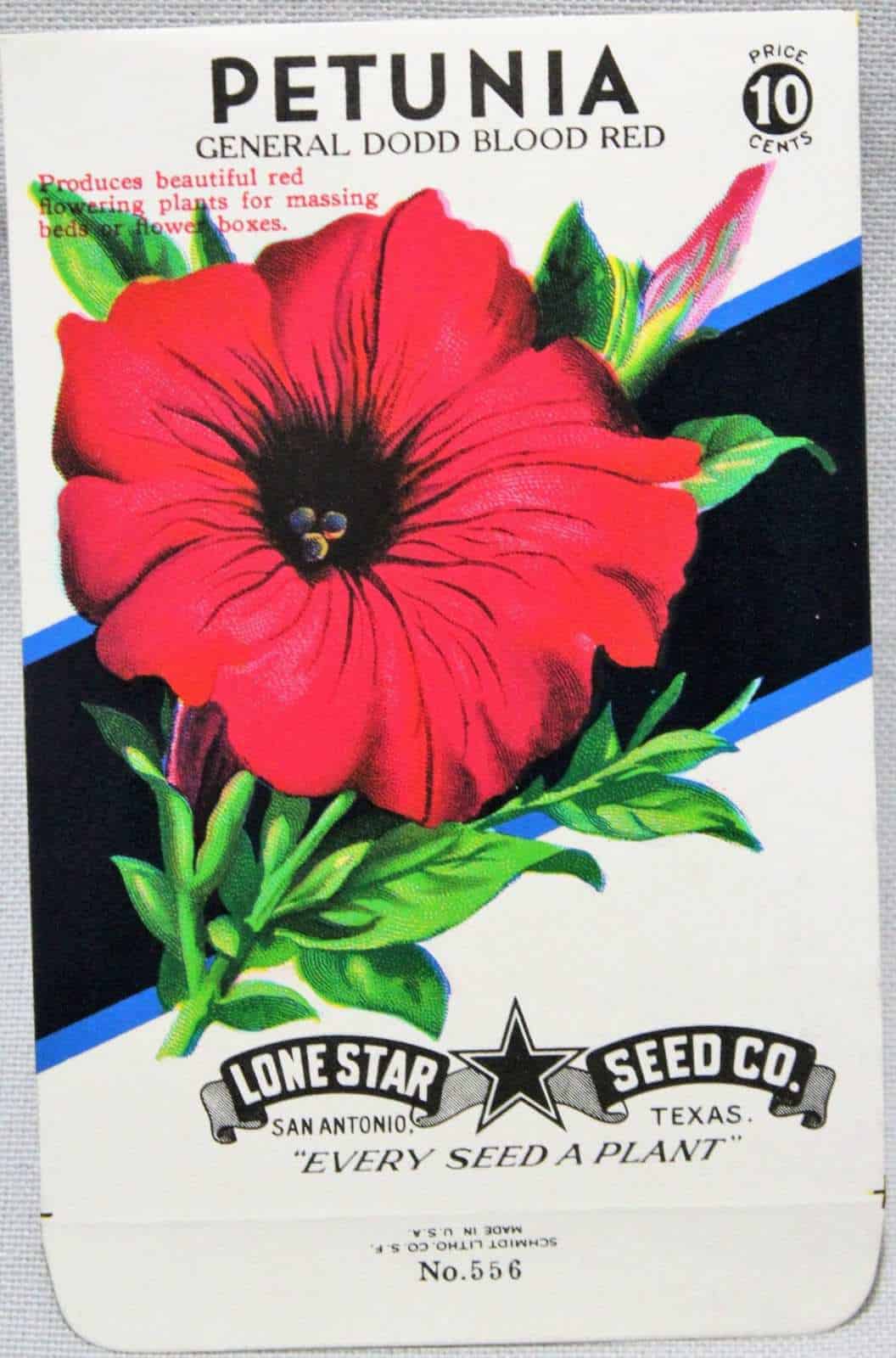 Seed Packets, Rustic Display Wood Frame, 4 Packets incl., Vintage