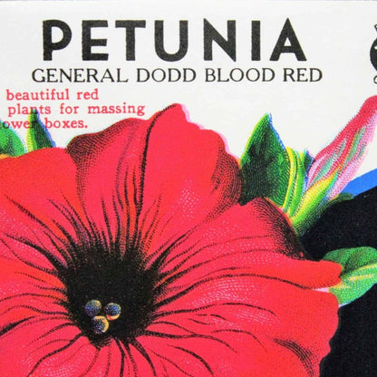 Petunia Vintage Lone Star Seed Packet, Heavenly Blue