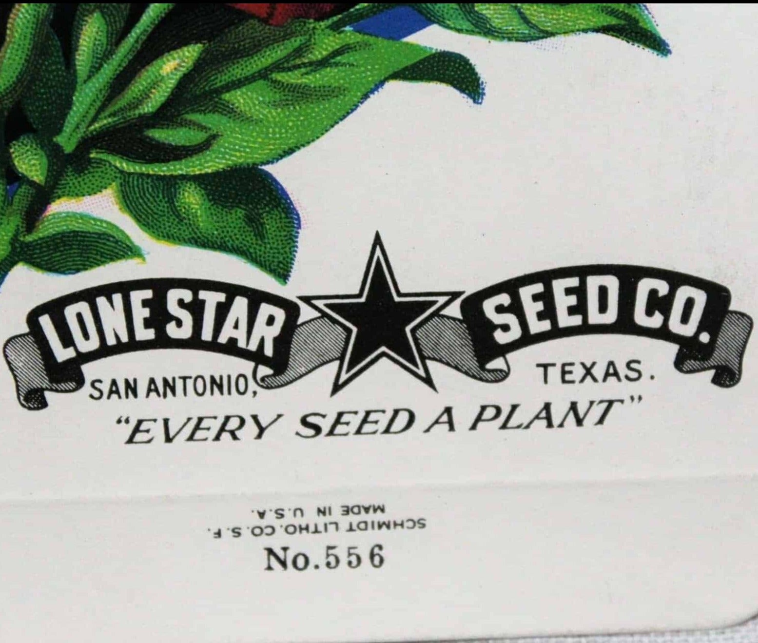 Set of 5 Different Vintage Flower Seed Packets, San Antonio, Lone
