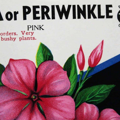 Seed Packets, Lone Star Seed Co, Vinca/Periwinkle #784 NOS, Vintage