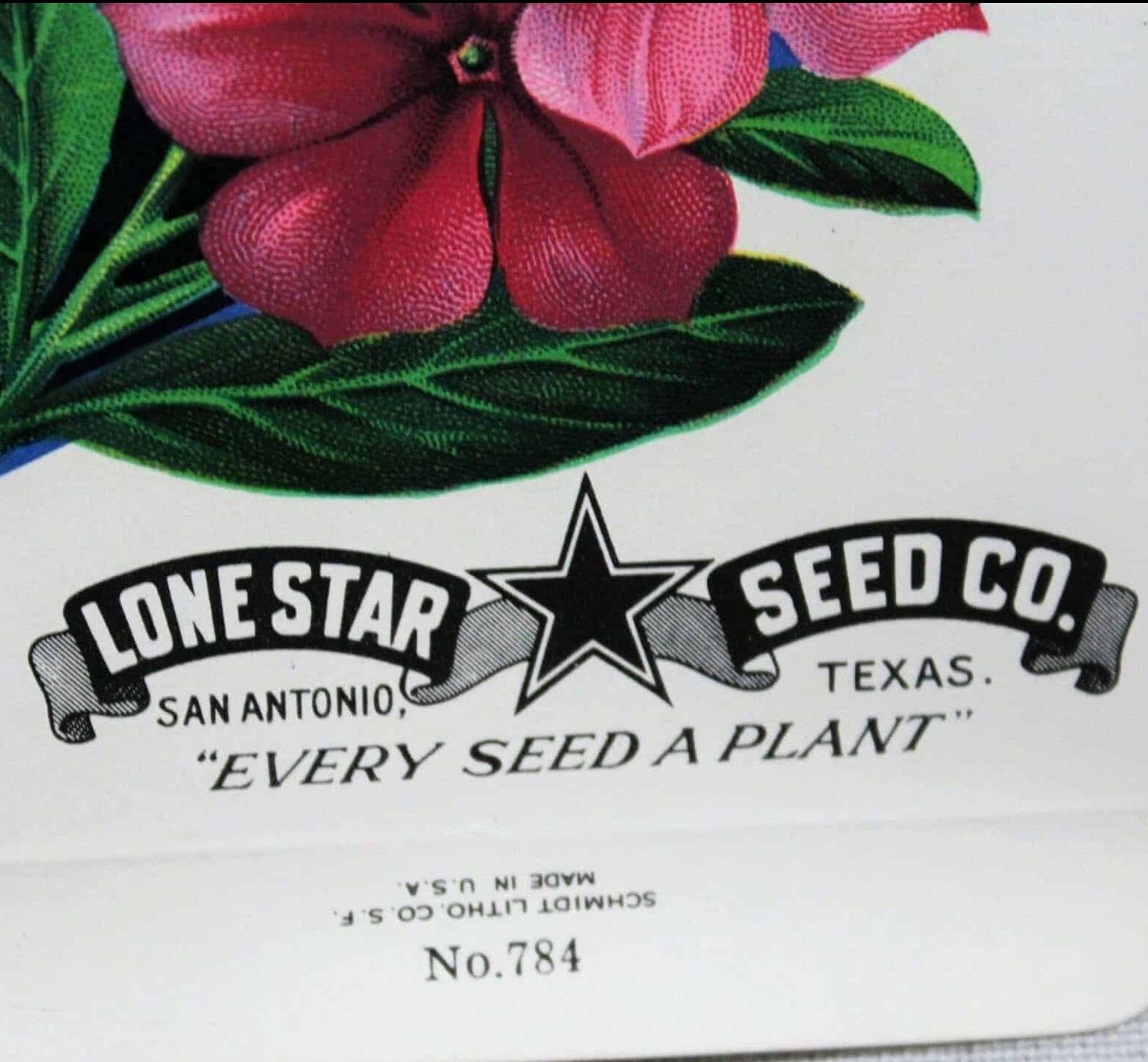Set of 5 Diff. Vintage Vegetable Seed Packets, San Antonio, Lone Star Texas  L05