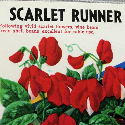 Seed Packets, Lone Star Seed Co, Scarlet Runner, NOS, Vintage