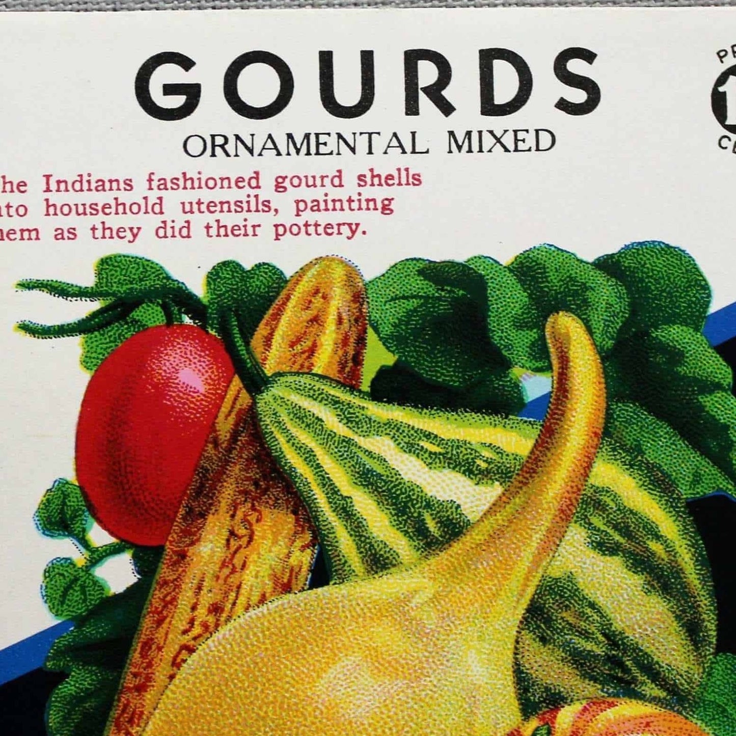 Seed Packets, Lone Star Seed Co, Gourds #546, NOS, Vintage