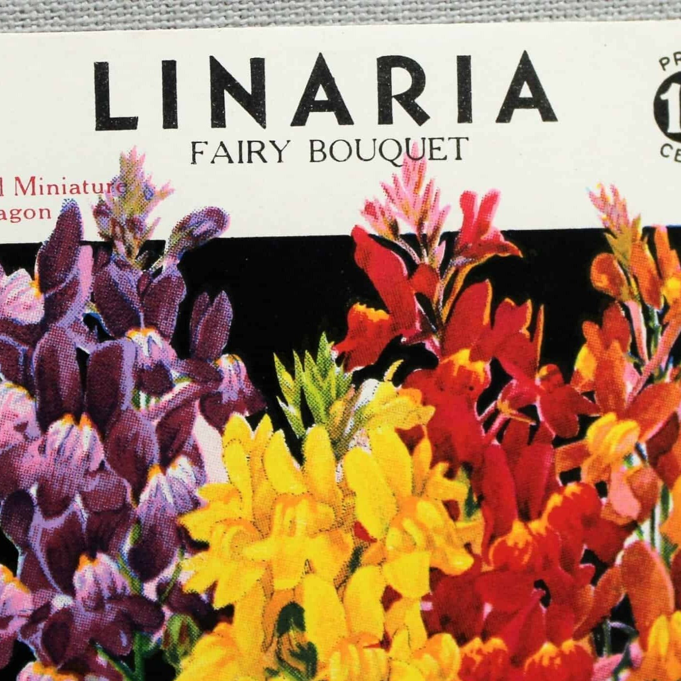 Seed Packets, Lone Star Seed Co, Linaria, NOS, Vintage