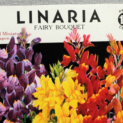 Seed Packets, Lone Star Seed Co, Linaria, NOS, Vintage