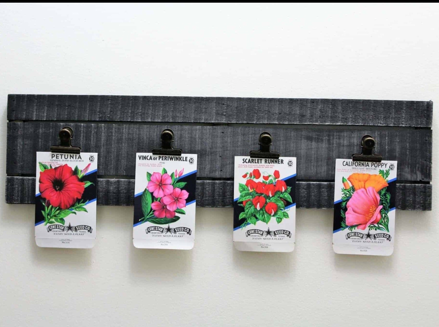flower seed packets bulk Seed Packets, Lone Star Seed Co, Moon Flower #636 NOS, Vintage – Antigo Trunk