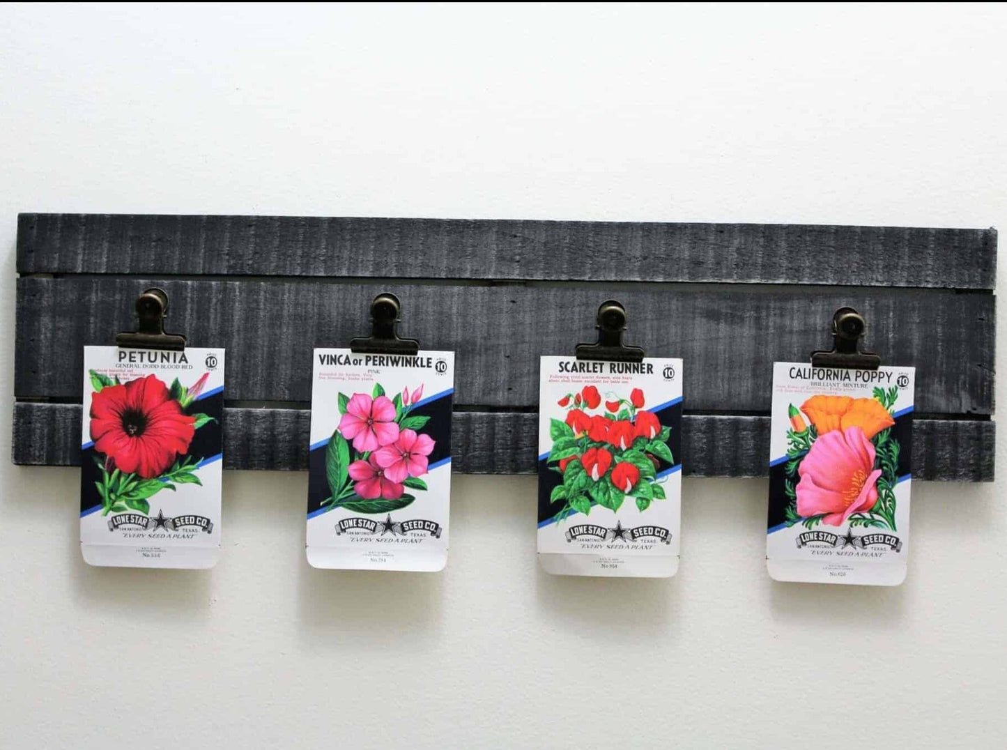 Seed Packets, Lone Star Seed Co, Petunia, NOS, Vintage