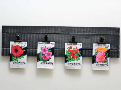 Seed Packets, Lone Star Seed Co, Petunia, NOS, Vintage
